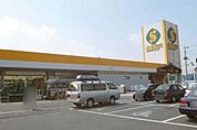 セキチュー宇都宮駒生店 429m