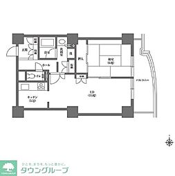 文京グリーンコートビュータワー本駒込B棟 1LDKの間取図画像