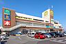 周辺：マミーマート所沢山口店 徒歩12分 890m