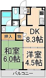 プラザホワイトB 2DKの間取図画像