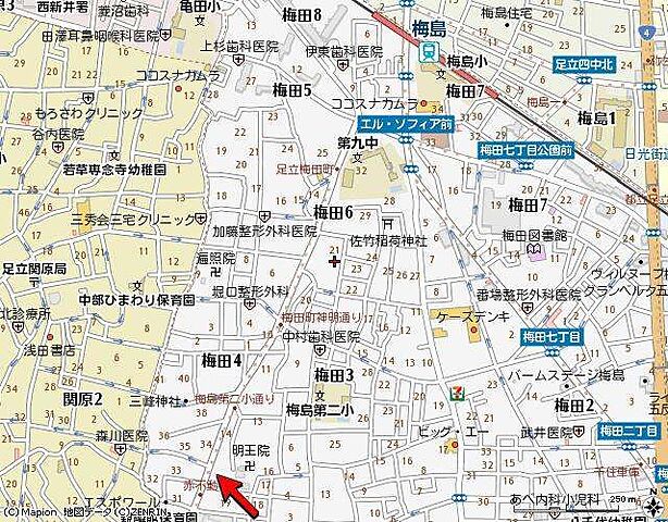 地図