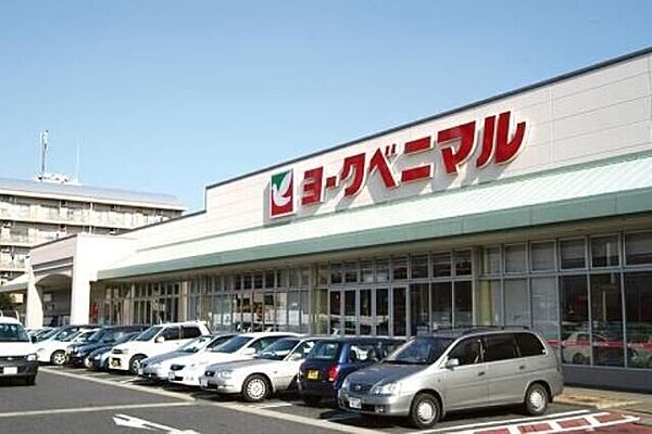 画像23:ヨークベニマル石井店 876m