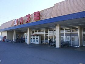 ビックアイランド A  ｜ 栃木県下都賀郡壬生町大師町（賃貸アパート1LDK・2階・40.09㎡） その23