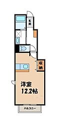 カルムメゾン 1階/-