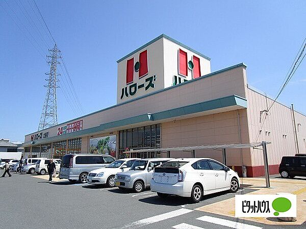 画像11:スーパー「ハローズ北島店まで253m」