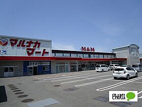 リオン　ドゥ　エスポワールＡ 102 ｜ 徳島県鳴門市撫養町木津350番地1（賃貸アパート1LDK・1階・45.02㎡） その20