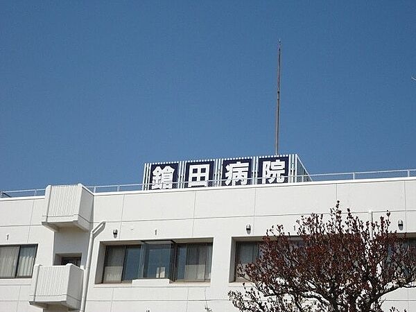 サンライズ桜