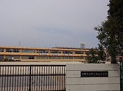 その他「市立国分寺台小学校まで650m」