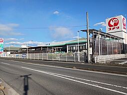 ベリッシモ ソーレ