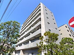 パインエクセレント