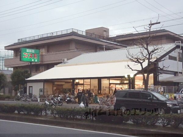 シャルレ8番館 101｜京都府京都市西京区桂西滝川町(賃貸マンション3LDK・1階・58.00㎡)の写真 その22