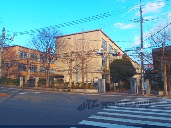 画像9:加茂川中学校まで1900メートル