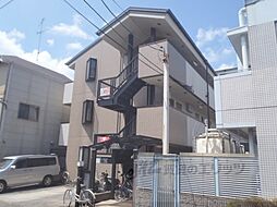 ルピナス321