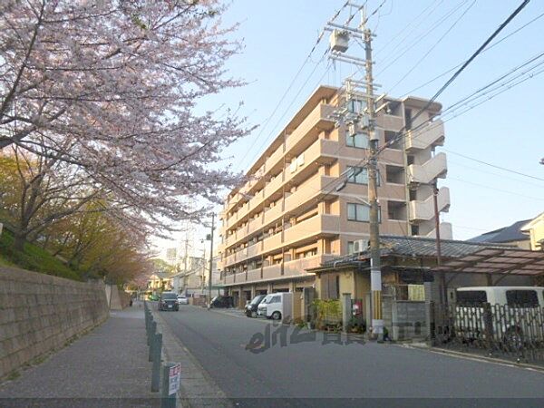 京都府京都市右京区西京極徳大寺団子田町(賃貸マンション2LDK・4階・52.48㎡)の写真 その12