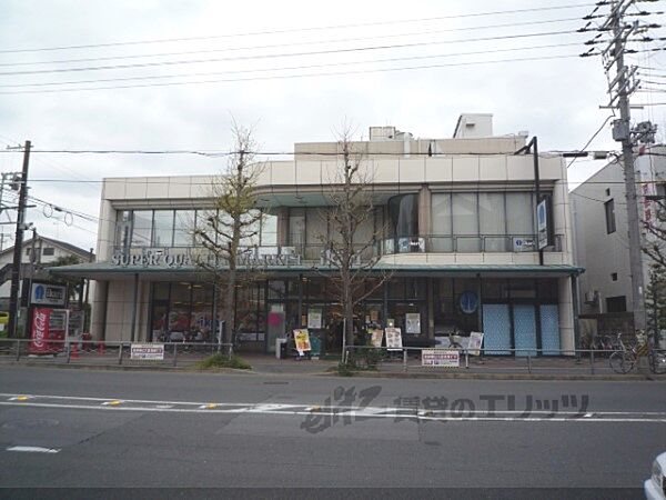 カーサ・フェリーチェ丸太町 102｜京都府京都市右京区常盤草木町(賃貸アパート1LDK・1階・41.20㎡)の写真 その20