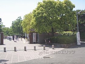 京都府京都市上京区北町（上の下立売通天神道西入上る、上の下（賃貸マンション1LDK・3階・49.12㎡） その18