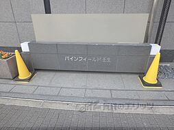 13 / 33