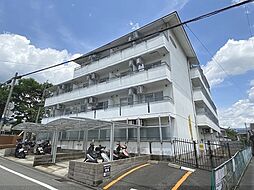 3 / 16