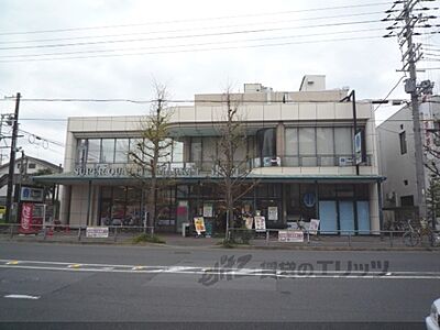 周辺：いかりライクス　常盤店まで400メートル