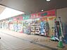 周辺：ドラッグランドひかり　ビブレ店まで1100メートル