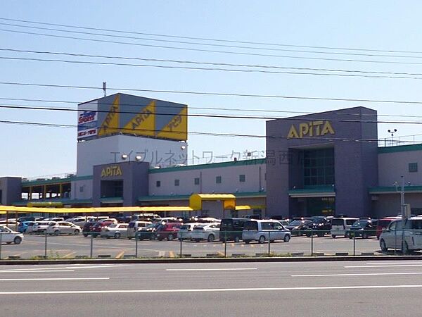 画像24:アピタ新潟西店(860m)