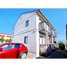 STEP COURT ONIWA