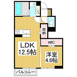 ルミエール・TB 1LDKの間取図画像