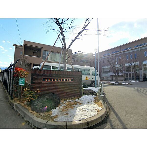 画像24:小学校「私立長野日本大学小学校まで288ｍ」