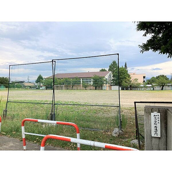 画像26:小学校「長野市立加茂小学校まで377ｍ」