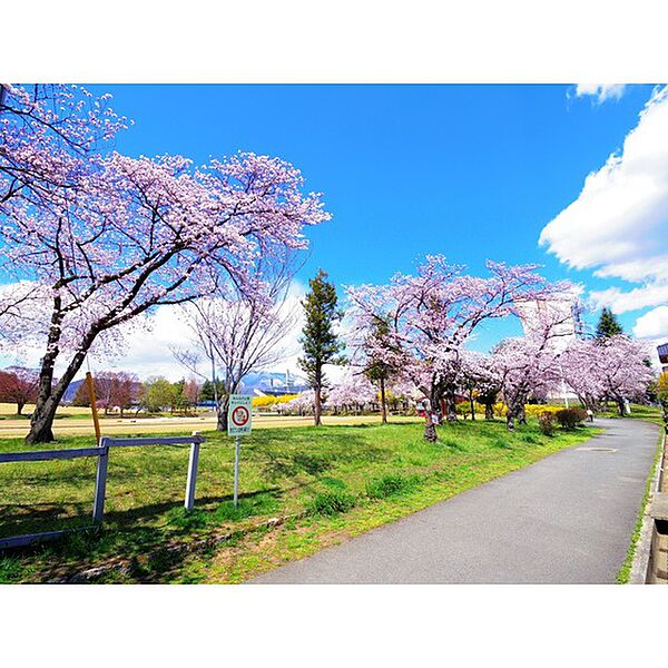 ハイツ宮西 ｜長野県長野市大字柳原(賃貸アパート2DK・1階・39.00㎡)の写真 その27