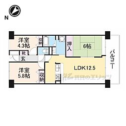 ベルヴィ草津 3LDKの間取図画像
