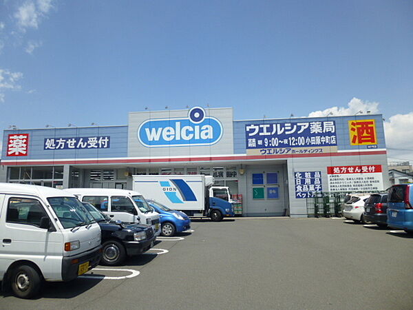 グリーンハイムほやの 101｜神奈川県小田原市東町１丁目(賃貸アパート3LDK・1階・54.95㎡)の写真 その28