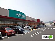 ホームセンター「カインズ小田原高田店まで1151m」
