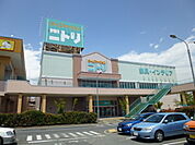 ホームセンター「ニトリ小田原店まで1974m」