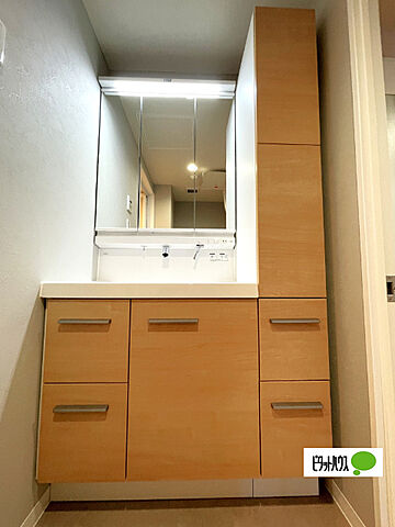 洗面 ブライトシティ船橋 1階/-