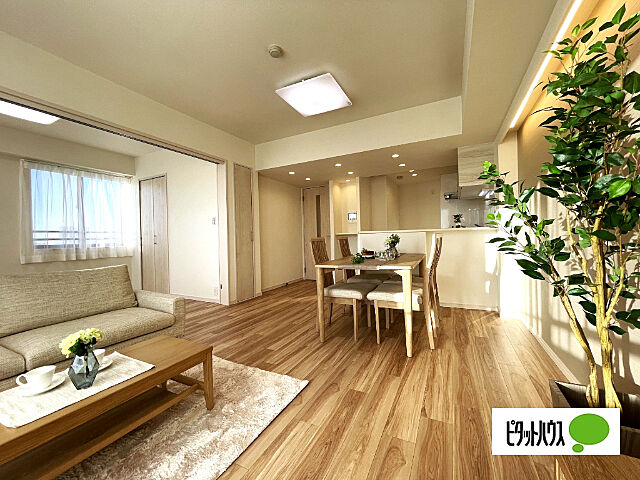 リビング/ダイニング パーク・ノヴァ市川 11階/-