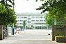 周辺：小学校「市川市立百合台小学校まで420m」
