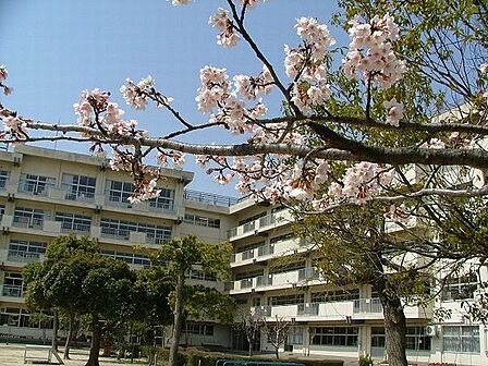 小学校「松戸市立和名ケ谷小学校まで920m」