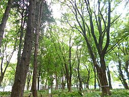 ドゥーエ上前津（旧さくらＨｉｌｌｓ上前津）