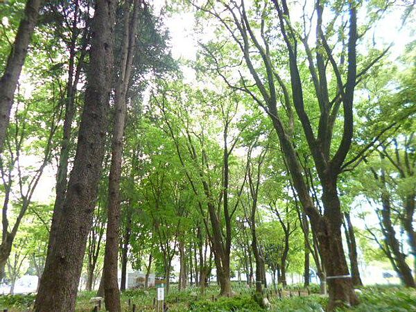 ドゥーエ上前津（旧さくらＨｉｌｌｓ上前津）