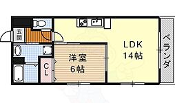 グレースコート 2階/-