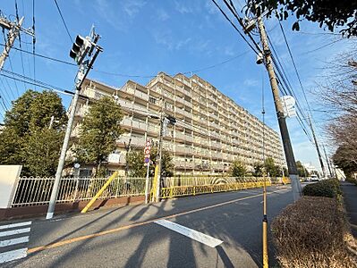 外観 外観