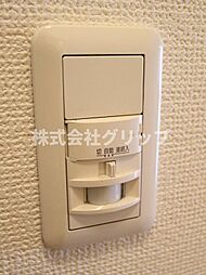 ピノエスペランサ　915127