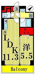 While椿 1LDKの間取図画像