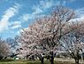 周辺：【公園】加須はなさき公園まで1220ｍ