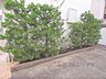 その他：植栽