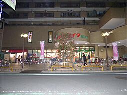 リブリ・SUNエースII