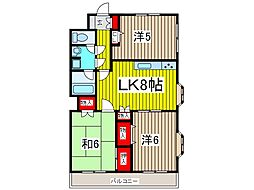 フローラレジデンス川口 3DKの間取図画像