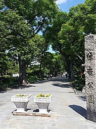 周辺施設の画像