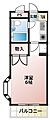 ジュネパレス市川第51階5.5万円